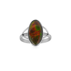 Ammolite Silver Ring