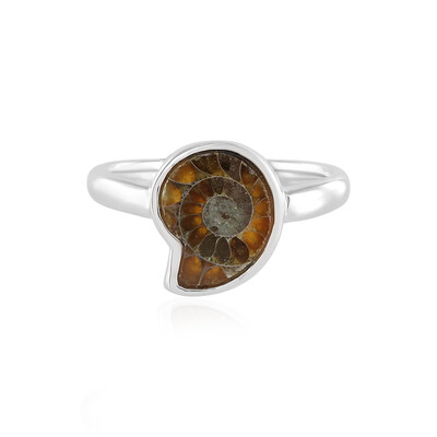 Ammonite Silver Ring