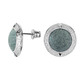 Fuchsite Silver Earrings (dagen)