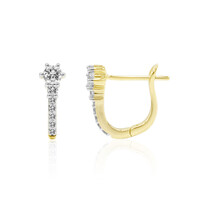 14K IF (D) Diamond Gold Earrings