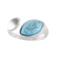 Turquoise Silver Ring