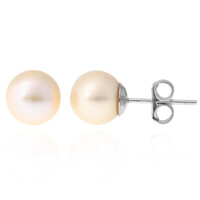 Freshwater pearl Silver Earrings