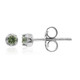 Madagascan Demantoid Silver Earrings (John Ferry)