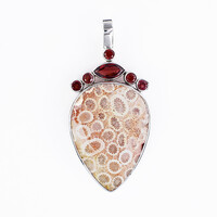 Petrified Coral Silver Pendant