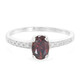 Chocolate Zircon Silver Ring