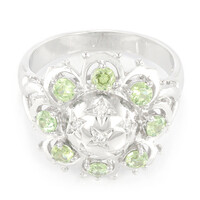 Namibian Demantoid Silver Ring