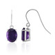 Zambian Amethyst Silver Earrings (Pallanova)