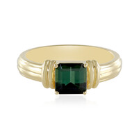 Benedito Green Tourmaline Silver Ring