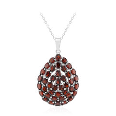 Garnet Silver Necklace