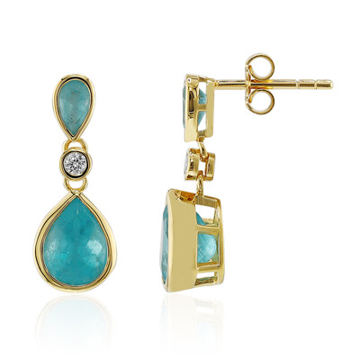 9K Paraiba Apatite Gold Earrings (Adela Gold)