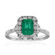 18K Colombian Emerald Gold Ring (CIRARI)