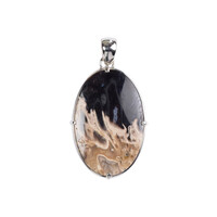 Petrified Palm Wood Silver Pendant