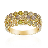 14K SI2 Fancy Diamond Gold Ring (CIRARI)