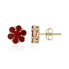 9K Tanzanian Ruby Gold Earrings