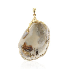 Shell Silver Pendant (TPC)