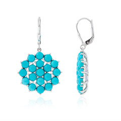 Sleeping Beauty Turquoise Silver Earrings