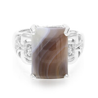 Botswana Agate Silver Ring