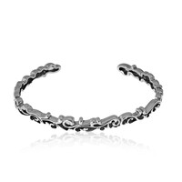 Silver Bangle (Desert Chic)