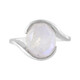 Rainbow Moonstone Silver Ring