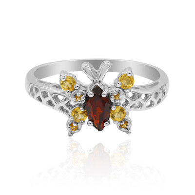 Mozambique Garnet Silver Ring