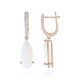 9K AAA Welo Opal Gold Earrings (SUHANA)