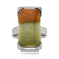 Petrified Wood Silver Ring (Bali Barong)