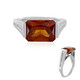 14K Hessonite Garnet Gold Ring (de Melo)