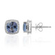 14K Unheated Tanzanite Gold Earrings (CIRARI)