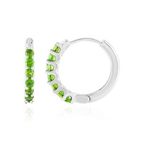 Russian Diopside Silver Earrings