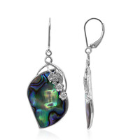 Abalone Shell Silver Earrings (Art of Nature)