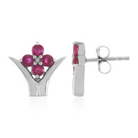 Madagascar Ruby Silver Earrings