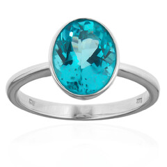 9K Paraiba Apatite Gold Ring (CUSTODANA)