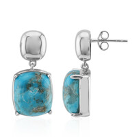 Turquoise Silver Earrings