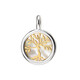 Mother of Pearl Silver Pendant (dagen)