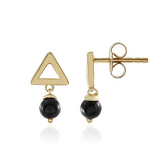 Black Onyx Silver Earrings