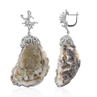 Shell Silver Earrings (TPC)