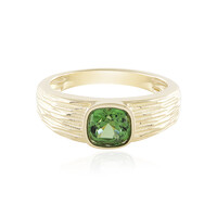 14K Brazilian Tourmaline Gold Ring (de Melo)