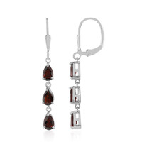 Garnet Silver Earrings