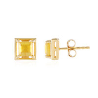 Madagascar Yellow Sapphire Silver Earrings