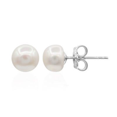 White Freshwater Pearl Silver Earrings (TPC)