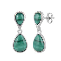 Malachite Silver Earrings