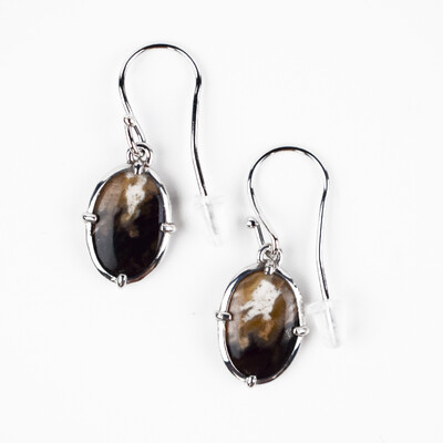 Petrified Palm Wood Silver Earrings