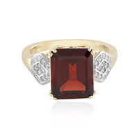 9K Mozambique Garnet Gold Ring