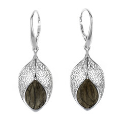 Black Oak Silver Earrings