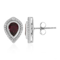 Tocantin Garnet Silver Earrings