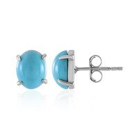 Sleeping Beauty Turquoise Silver Earrings