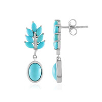 Sleeping Beauty Turquoise Silver Earrings