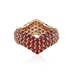 14K Tanzanian Ruby Gold Ring (de Melo)