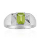 Jilin Peridot Silver Ring (Pallanova)