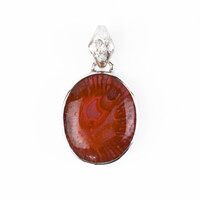 Petrified Red Horn Coral Silver Pendant